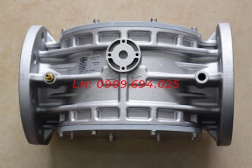 BỘ LỌC GAS FM DN100